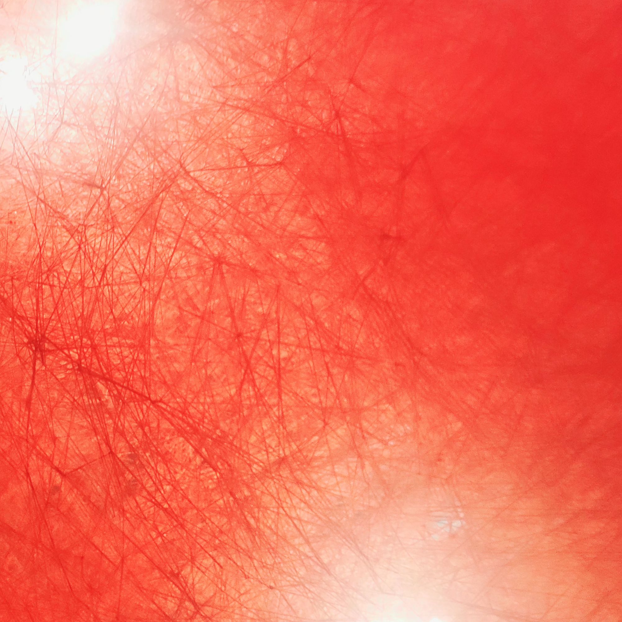 Le désert ou la&nbsp;toile