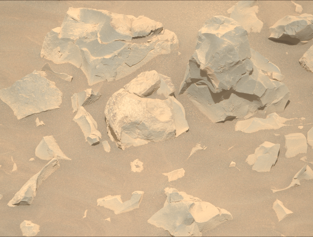 Du bourgeonnement à la mort du&nbsp;soleil