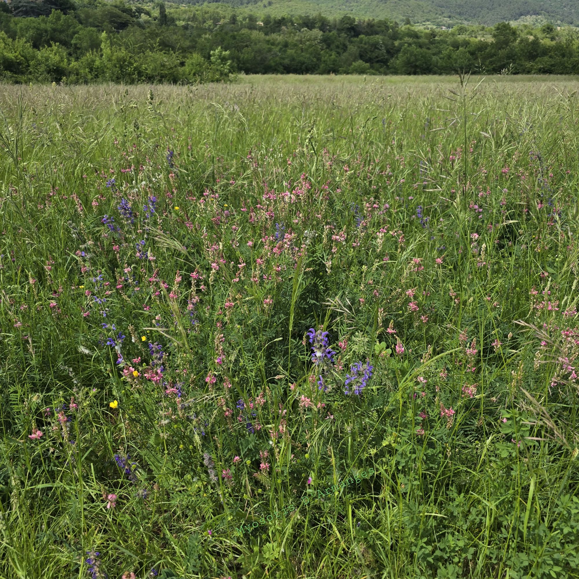 La porte du&nbsp;jardin