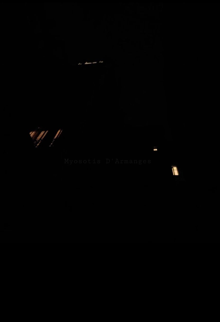 Que viens-tu faire en ce palace ?